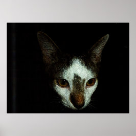 Meneer Bud in rust Poster