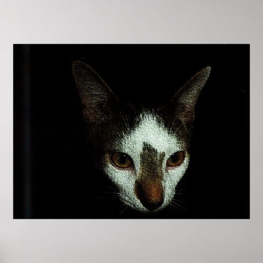 Meneer Bud in rust Poster (Voorkant)