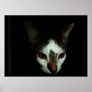 Meneer Bud in rust Poster