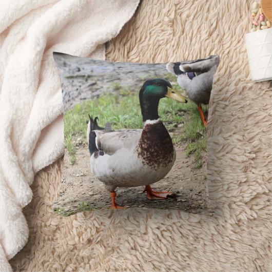 Meneer Duck Kussen (Deken)