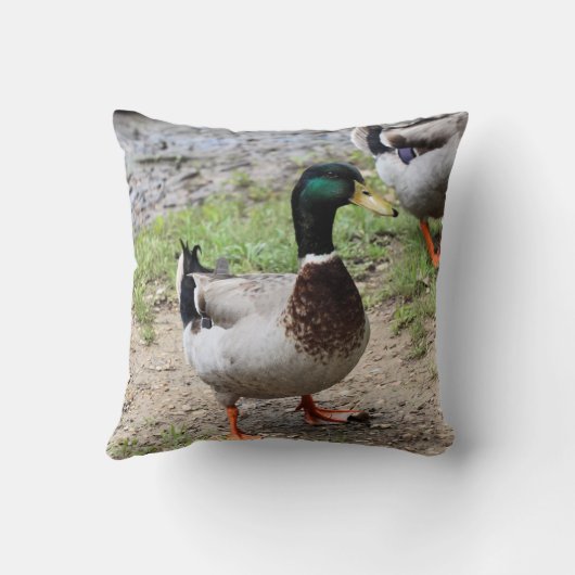 Meneer Duck Kussen (Achterkant)