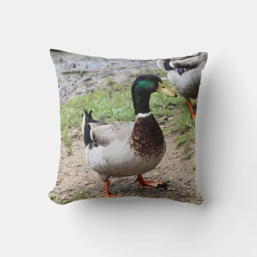 Meneer Duck Kussen (Voorkant)