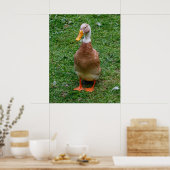 Meneer Eend Poster (Keuken)