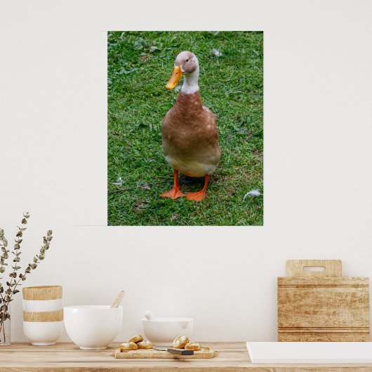 Meneer Eend Poster (Keuken)