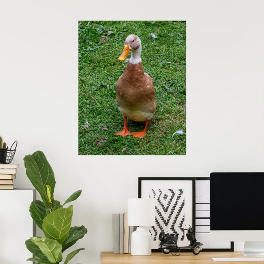 Meneer Eend Poster (Thuiskantoor)