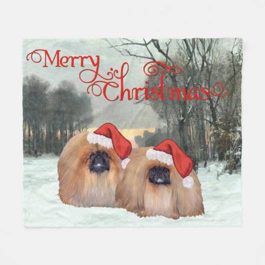 Meneer en mevrouw kerstman fleece deken (Voorkant (Horizontaal))