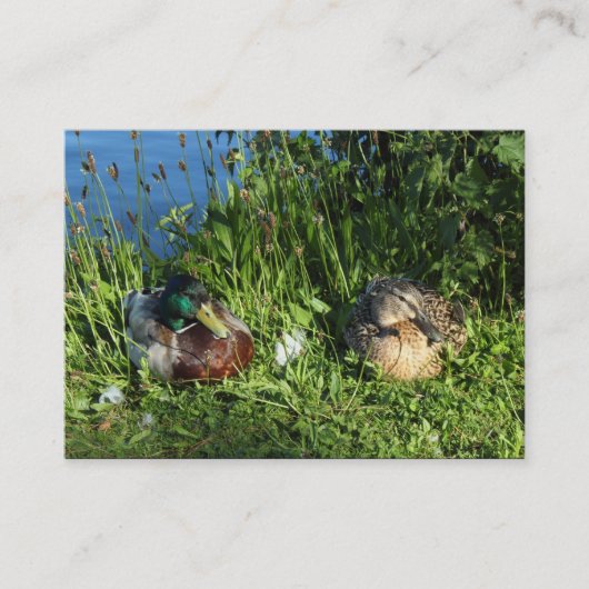 Meneer en mevrouw Mallard Visitekaartje (Voorkant)