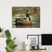 Meneer Kwak Poster (Thuiskantoor)