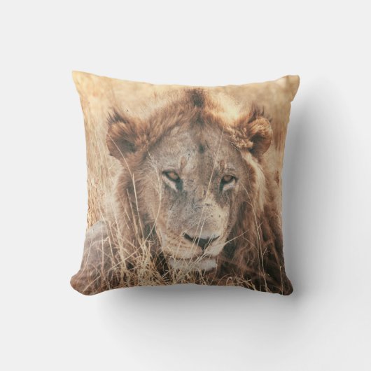 MENEER LION KING KUSSEN (Voorkant)