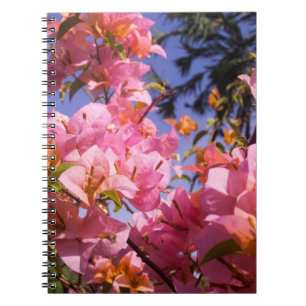 Mengel roze en oranje Bougainvillea bloemen Notitieboek