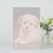 Mengsel van baby Maltese poedel of maltipoophondsh Briefpapier (Staand voorkant)