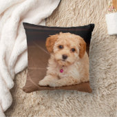 Mengsel van baby Maltese poedel of maltipoophondsh Kussen (Deken)