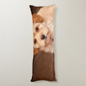 Mengsel van baby Maltese poedel of maltipoophondsh Lichaamskussen (Achterkant (Verticaal))