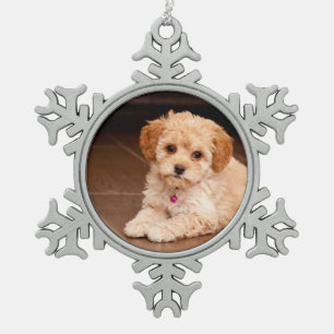 Mengsel van baby Maltese poedel of maltipoophondsh Tin Sneeuwvlok Ornament