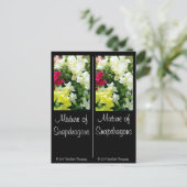 Mengsel van Snapdragons Briefkaart (Staand voorkant)
