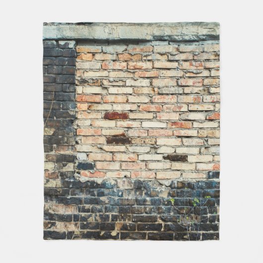 Mengsels tegen de achtergrond van de wandtextuur. fleece deken (Voorkant)