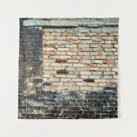 Mengsels tegen de achtergrond van de wandtextuur.  wandkleed (Voorkant)