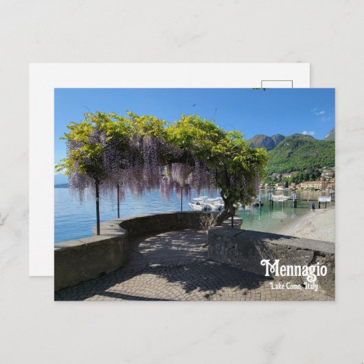 Mennagio Wisteria Briefkaart (Voorkant / Achterkant)