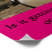 Menopauzale Penguin Poster (Hoek)