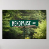Menopauze Lane Sign for a Good Laugh Poster (Voorkant)