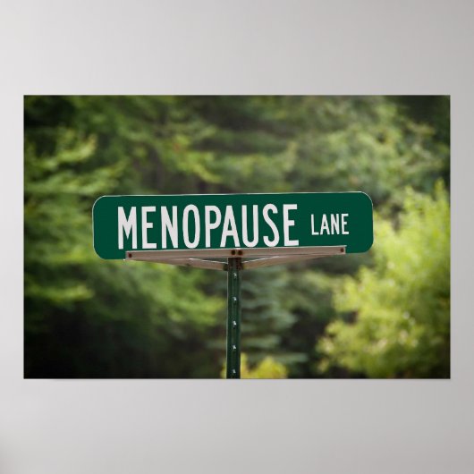 Menopauze Lane Sign for a Good Laugh Poster (Voorkant)