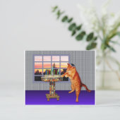 menorah cat.jpg briefkaart (Staand voorkant)