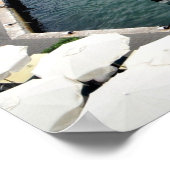 Menorca, Balearen, Spanje Poster (Hoek)