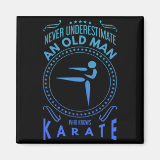 Mens Karate Graphic Never Underestimate An Old M T Magneet