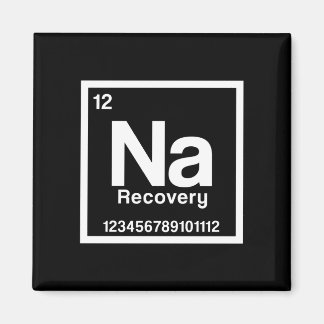 Mens na element narcotics anonymous recovery sober magneet