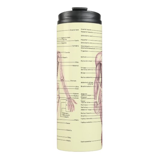 Menselijk anatomie Educatief medisch diagram Thermosbeker (Voorkant)