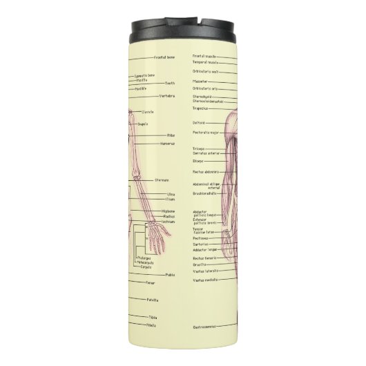 Menselijk anatomie Educatief medisch diagram Thermosbeker (Achterkant)