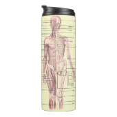 Menselijk anatomie Educatief medisch diagram Thermosbeker (Geroteerd rechts)