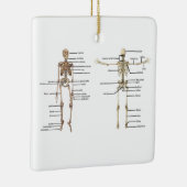 Menselijk anatomie Skeleton medisch diagram voorzi Keramisch Ornament (Rechts)