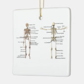 Menselijk anatomie Skeleton medisch diagram voorzi Keramisch Ornament (Links)