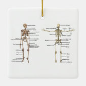 Menselijk anatomie Skeleton medisch diagram voorzi Keramisch Ornament (Achterkant)