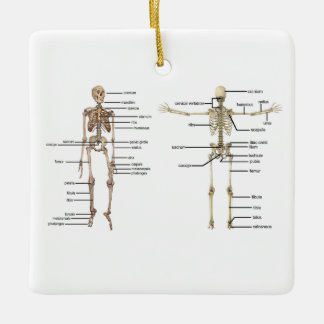 Menselijk anatomie Skeleton medisch diagram voorzi Keramisch Ornament