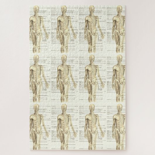 Menselijk anatomiediagram met labels legpuzzel (Verticaal)