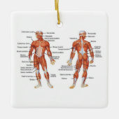 Menselijk anatomiespierdiagram keramisch ornament (Voorkant)