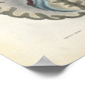 Menselijk brein Sectie Anatomie Print (Hoek)