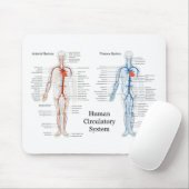 Menselijk circuleersysteem voor arteriën en veinen muismat (Met muis)