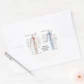 Menselijk circuleersysteem voor arteriën en veinen ronde sticker (Envelop)