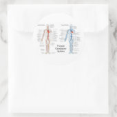 Menselijk circuleersysteem voor arteriën en veinen ronde sticker (Tas)
