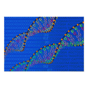 Menselijk DNA en synthetisch DNA-poster Foto Afdruk