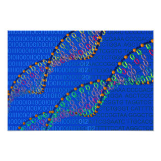 Menselijk DNA en synthetisch DNA-poster Foto Afdruk