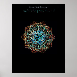 Menselijk DNA-Poster Poster