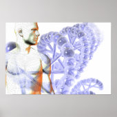 Menselijk genoom poster (Voorkant)