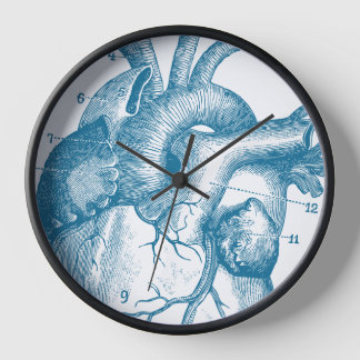 Menselijk hart anatomie