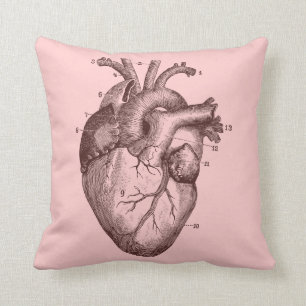 Menselijk hart - anatomie kussen