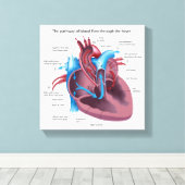 Menselijk hart anatomie uitgerekte canvas print (Insitu (Houten vloer))