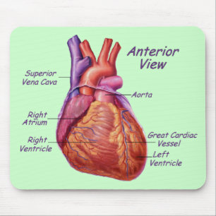 Menselijk hart gelabeld Mousepad Muismat
